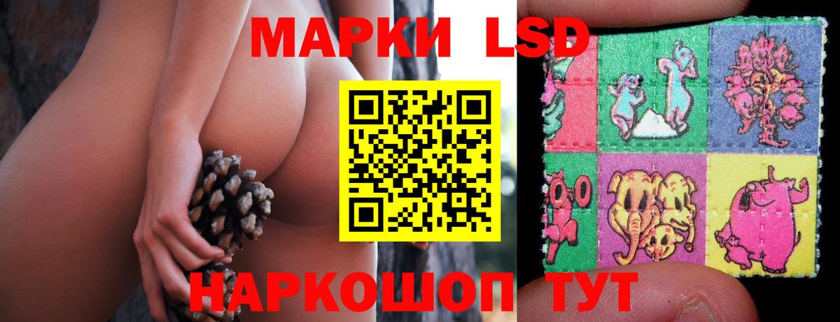 Лсд 25 экстази ecstasy  ЛСД экстази ecstasy  Вход с VPN  omg ONION  Новозыбков 