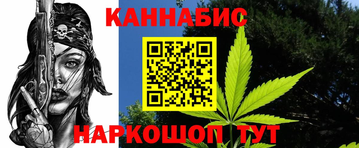 Конопля марихуана  Вход с VPN  Новозыбков  Бошки марихуана Bruce Banner  Каннабис план 